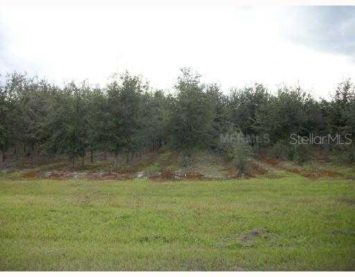 Tiger Lake Rd., Lake Wales, FL 33898