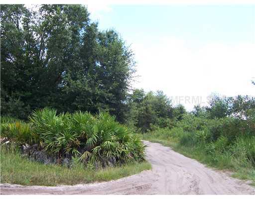 Cedar Hammock St., Lake Wales, FL 33859