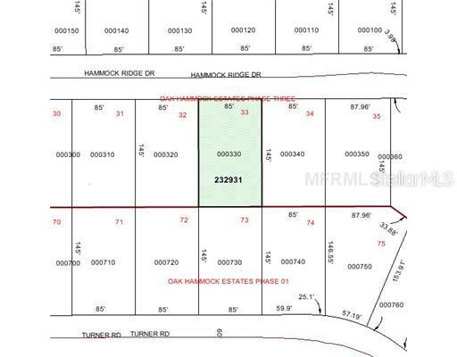 4694 Hammock Ridge Dr., Mulberry, FL 33860