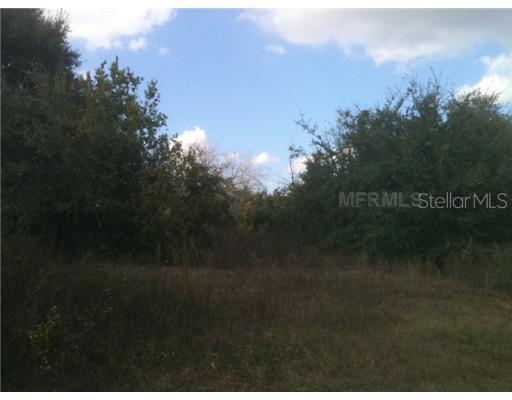 Holly Hill Rd, Davenport, FL 33837