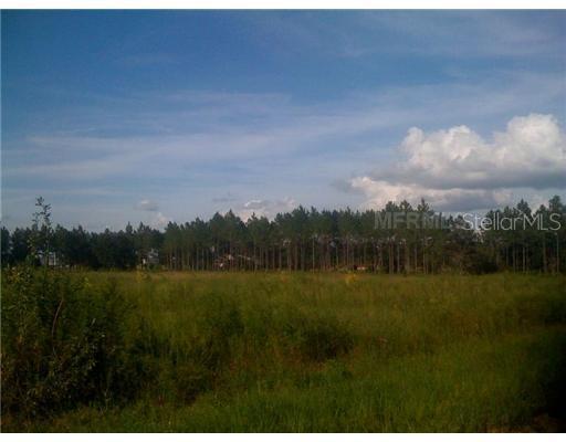 Holly Hill Grove Rd 3, Davenport, FL 33837