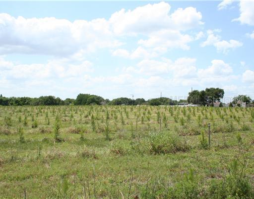 Old Lake Alfred Rd., Auburndale, FL 33823