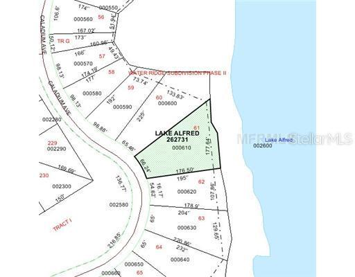 61 Caladium Ave., Auburndale, FL 33823