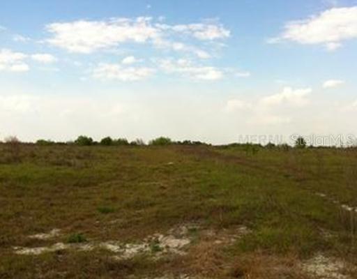 Alt Bab Pk Cut Off Rd., Bartow, FL 33830