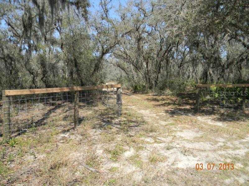 Mammoth Grove Rd., Lake Wales, FL 33898
