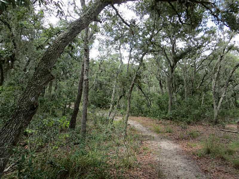 2730 Tiger Creek Tr., Lake Wales, FL 33898
