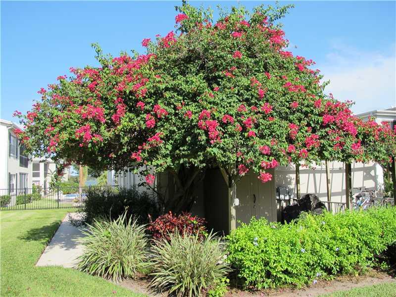 689 Lake Howard Dr. #202, Winter Haven, FL 33880