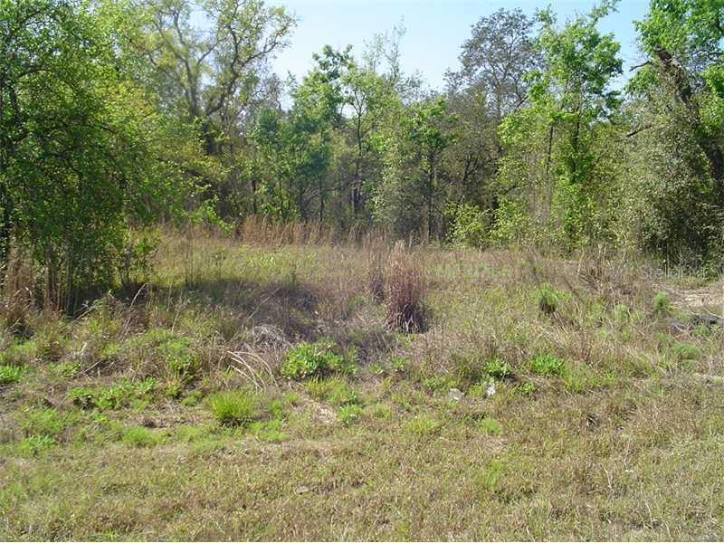 1914 County Road 547 N, Davenport, FL 33837