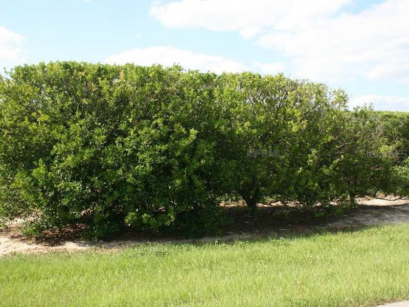 Lake Wales Alturas Rd., Bartow, FL 33830