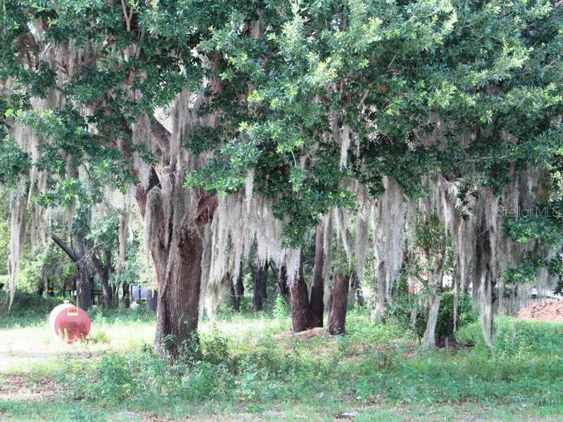 W Daughtery Rd., Lakeland, FL 33809