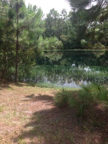 Thornhill Rd., Winter Haven, FL 33880