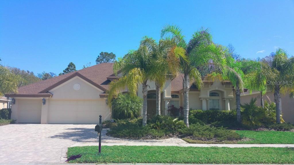 3932 Sorrel Vine Dr., Wesley Chapel, FL 33544