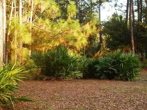 [Address Hidden by Seller], Lake Wales, FL 33898