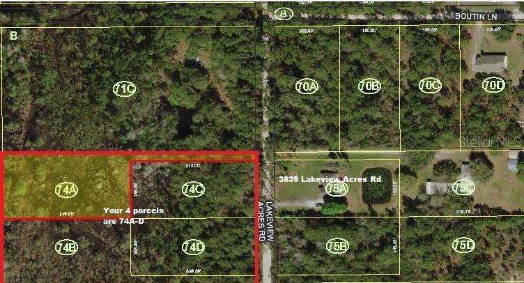 Lakeview Acres Rd., Saint Cloud, FL 34772