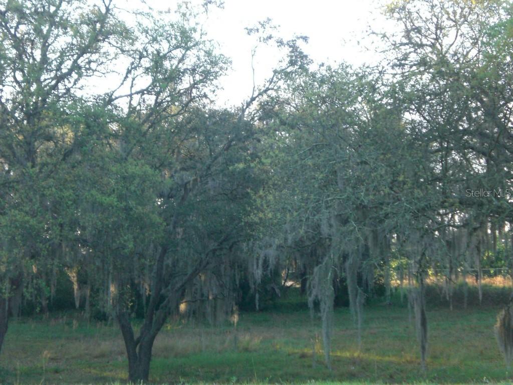 Davenport Blvd., Davenport, FL 33837