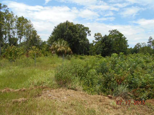 6239 Timberlane Rd., Lake Wales, FL 33853