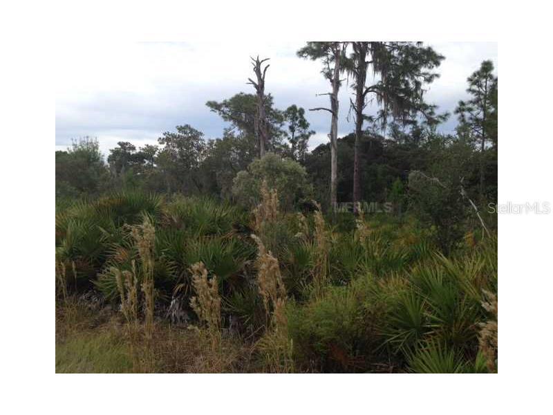 Lighter Knot Dr., Lake Wales, FL 33898