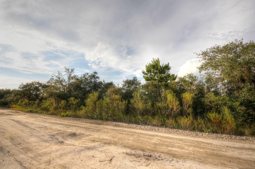 Lighthouse Ave., Lake Wales, FL 33859