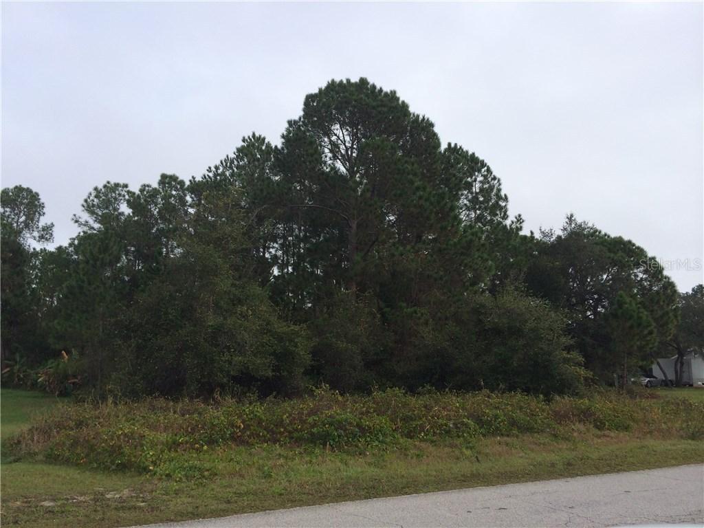 136 Deer Run Dr., Davenport, FL 33837