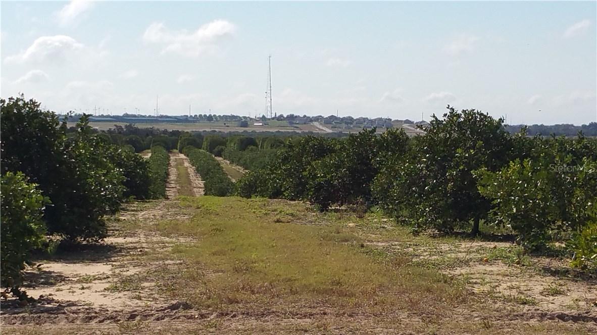 Lake Hatchineha Rd., Haines City, FL 33844