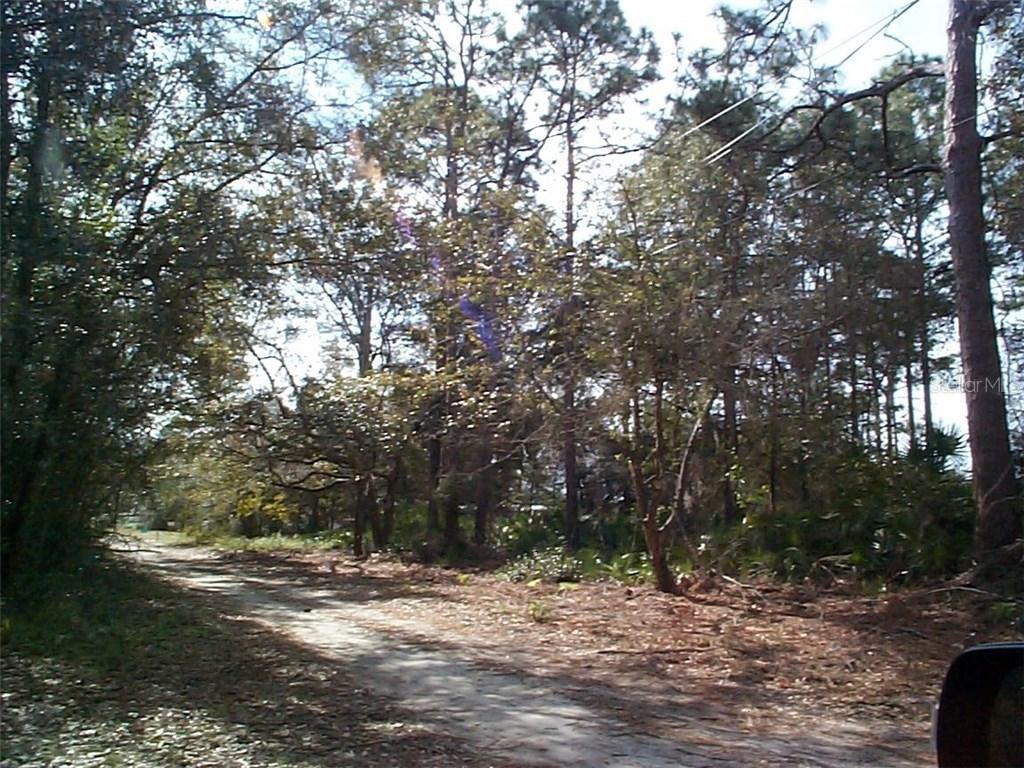 121 NE Easy St., Satsuma, FL 32189