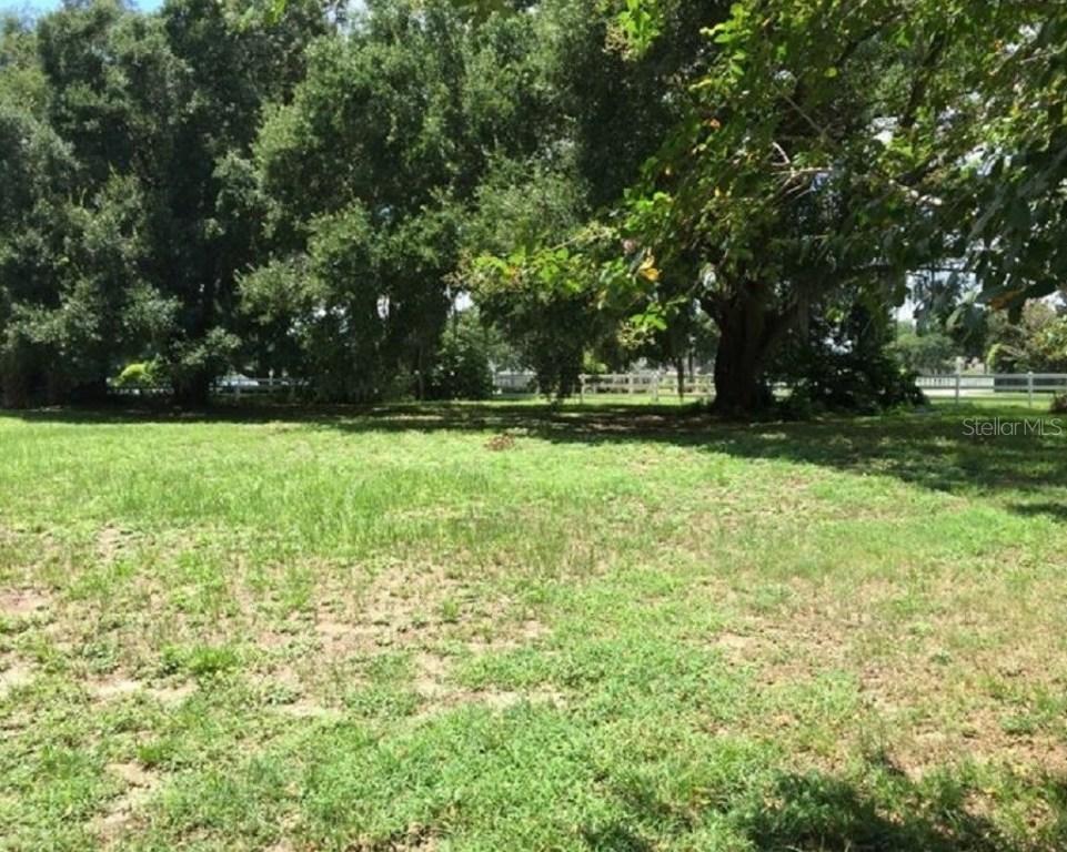 Pinner Ct., Lake Alfred, FL 33850