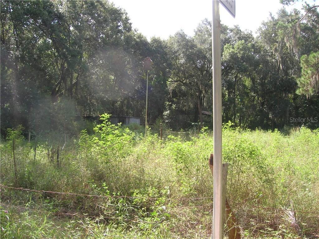Pinewood Ln., Winter Haven, FL 33881