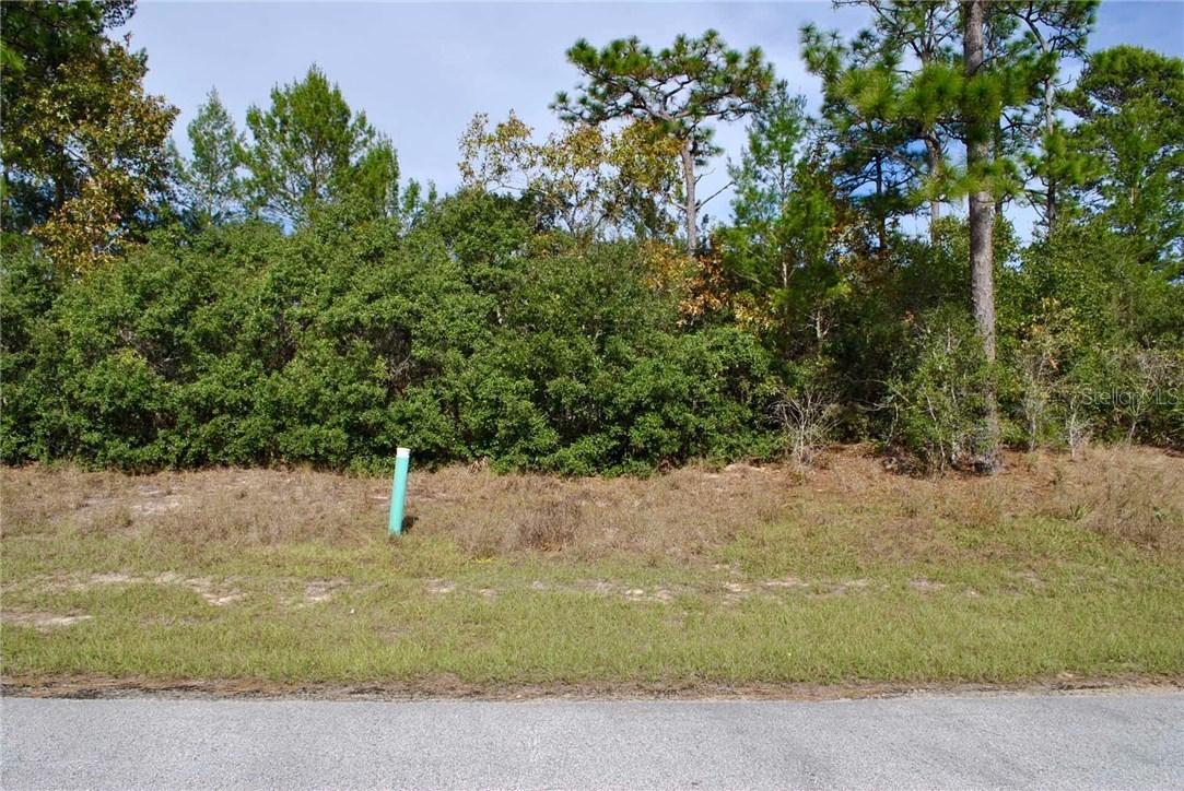 384 Hibiscus Dr., Poinciana, FL 34759