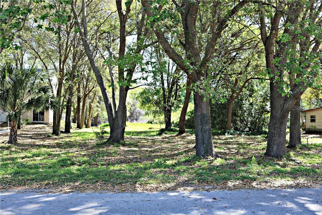 Cross Ave., Lake Alfred, FL 33853