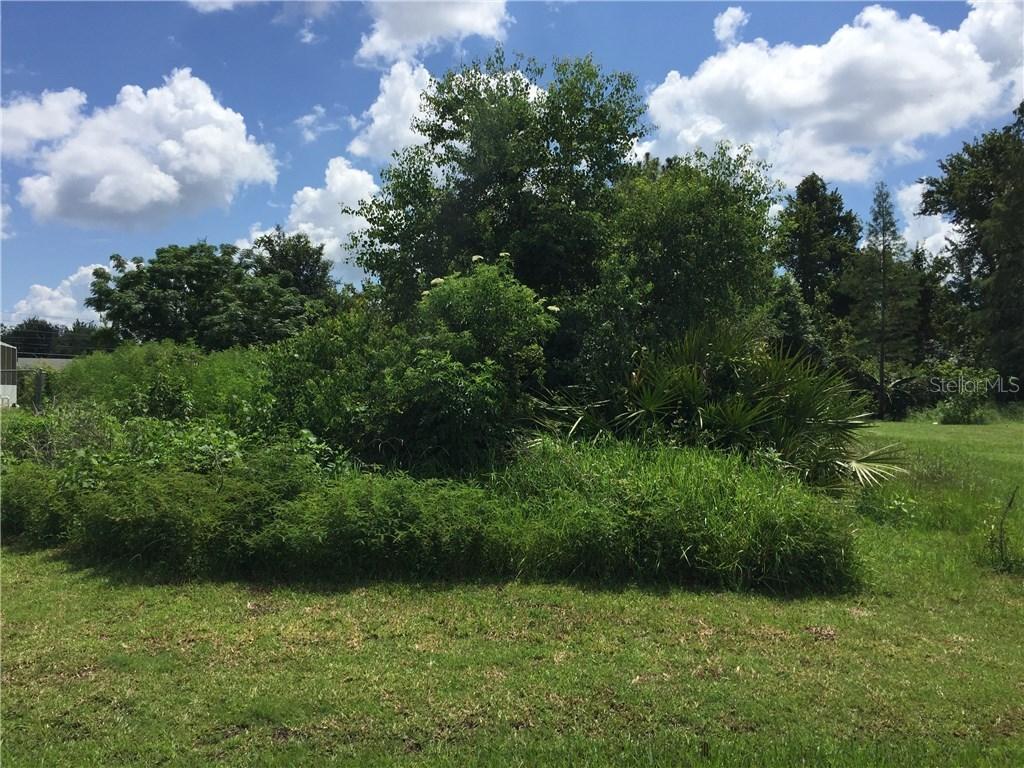 Toledo Ct., Kissimmee, FL 34758