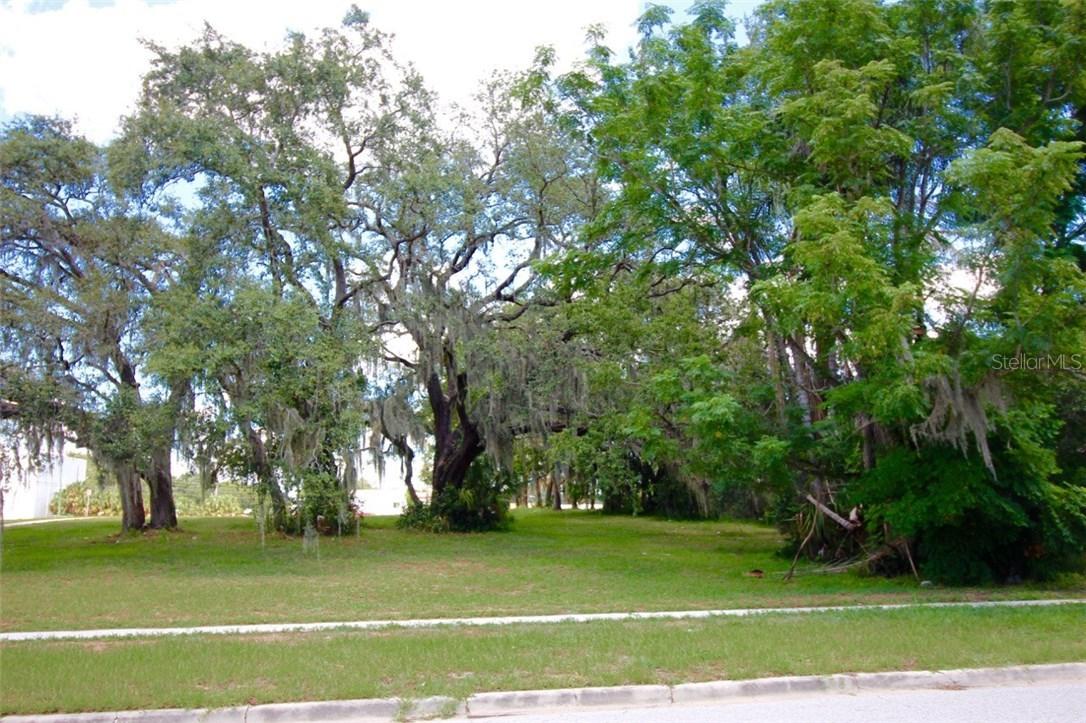 Pine Street E, Davenport, FL 33837