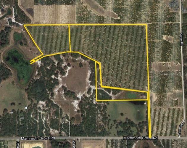 Mammoth Grove Rd., Lake Wales, FL 33898