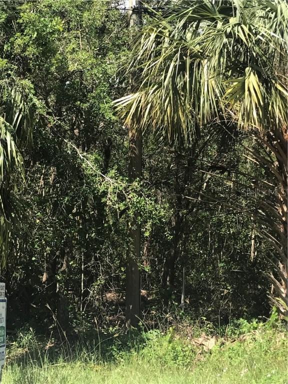 Haig St., Lake Wales, FL 33898