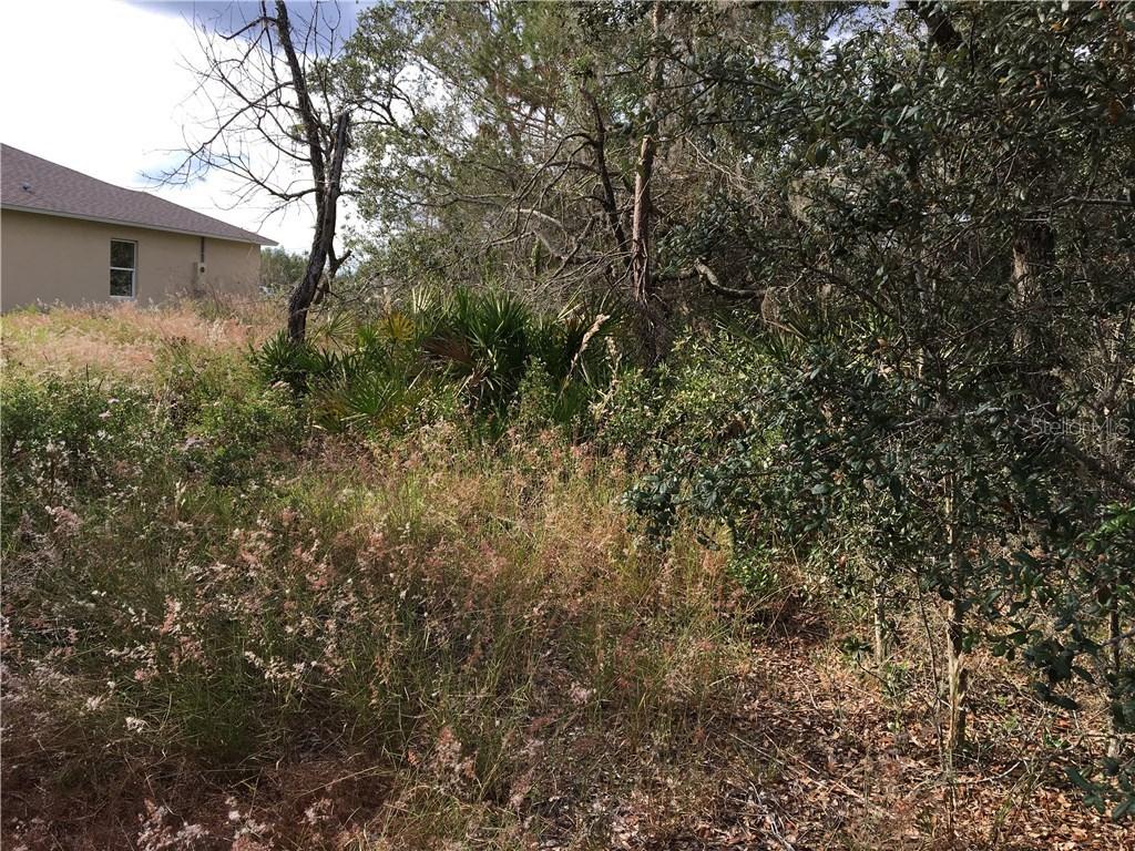 233 E Aster Ct., Poinciana, FL 34759