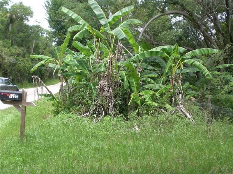 1202 Horseshoe Creek Rd., Davenport, FL 33837