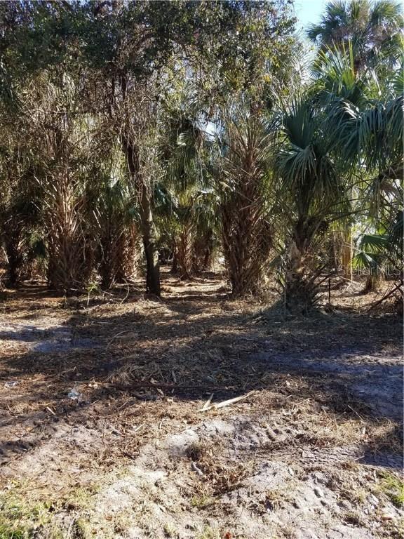 Timberlane Rd., Lake Wales, FL 33898