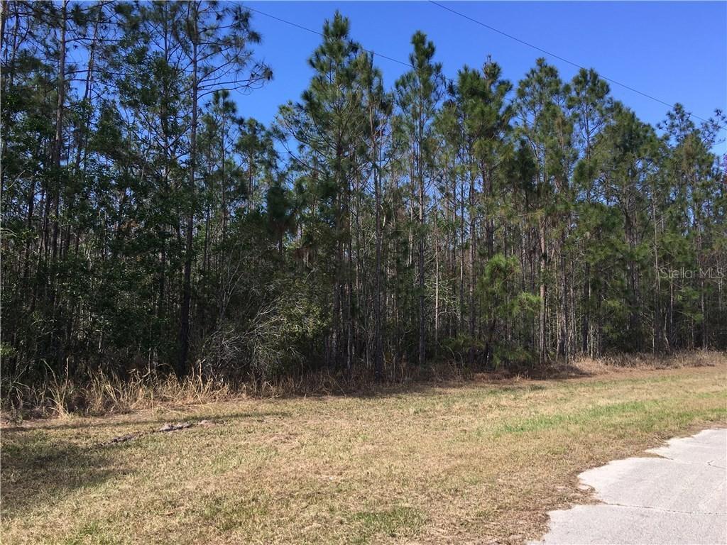 603 Hidden Palms Dr., Davenport, FL 33897