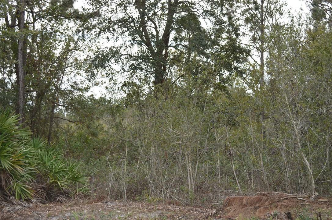 Alturas Babson Park Cutoff Rd., Lake Wales, FL 33859