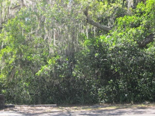 Saint Anne Shrine Rd., Lake Wales, FL 33898