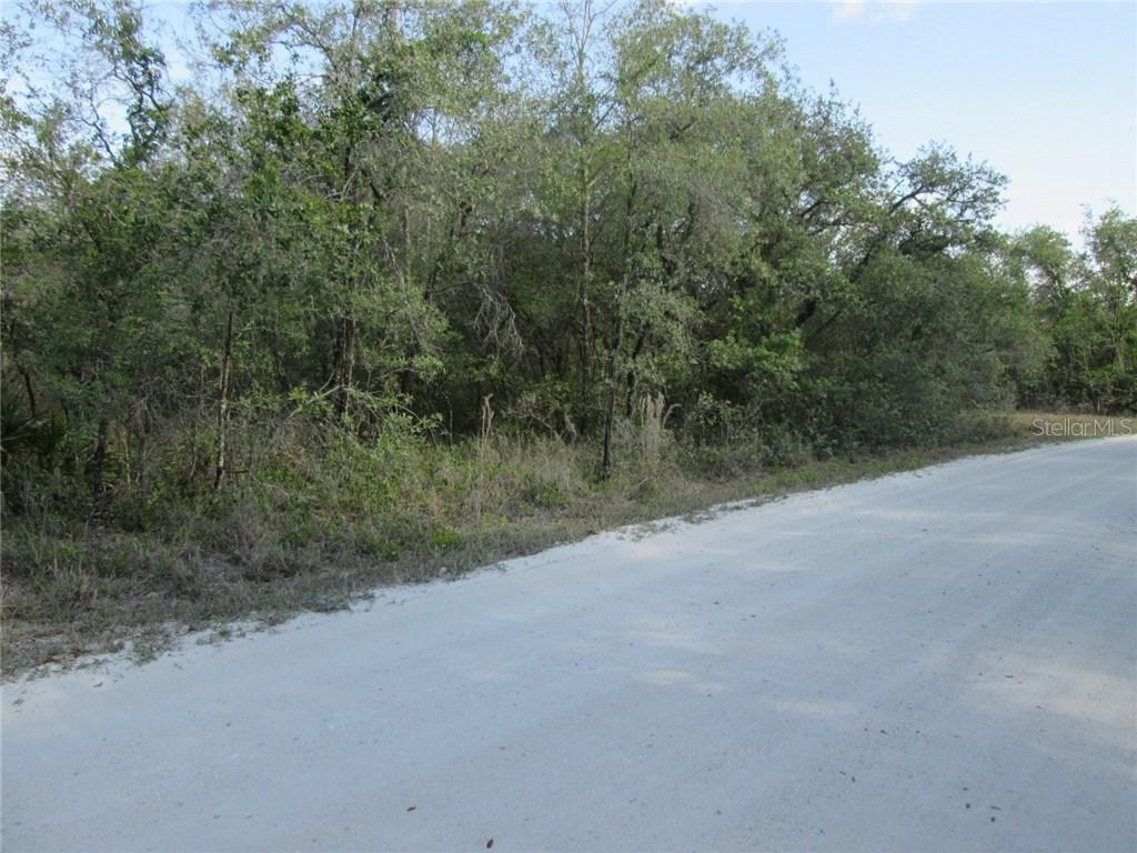 Bob Cat Tr., Lake Wales, FL 33898