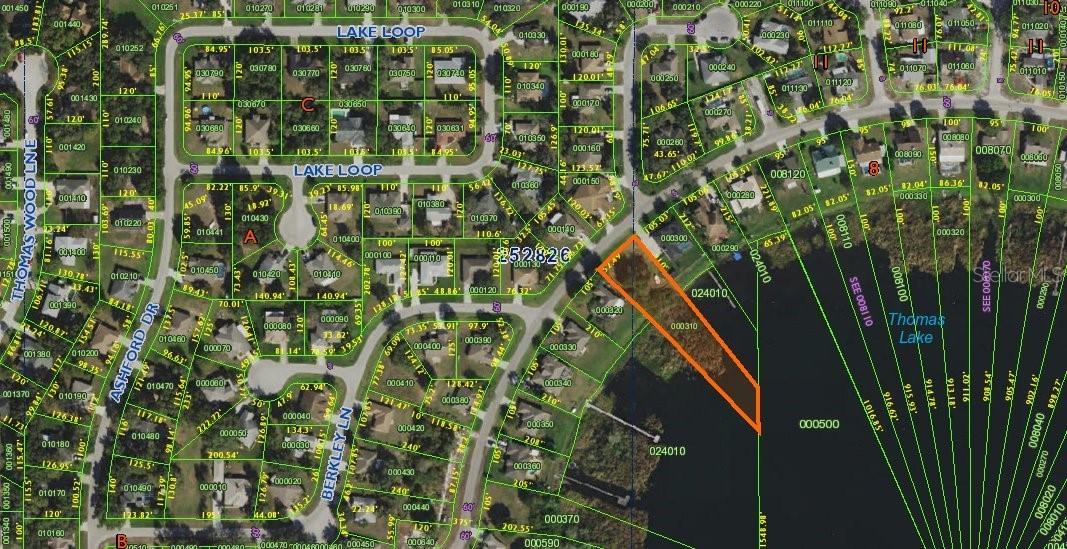 Lake Thomas Dr., Winter Haven, FL 33880