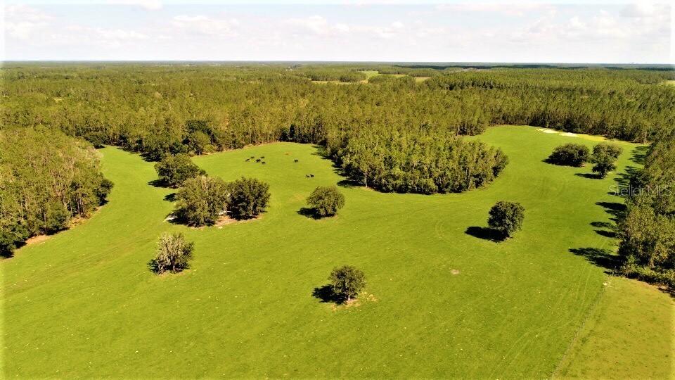 Deen Still Rd., Lakeland, FL 33809