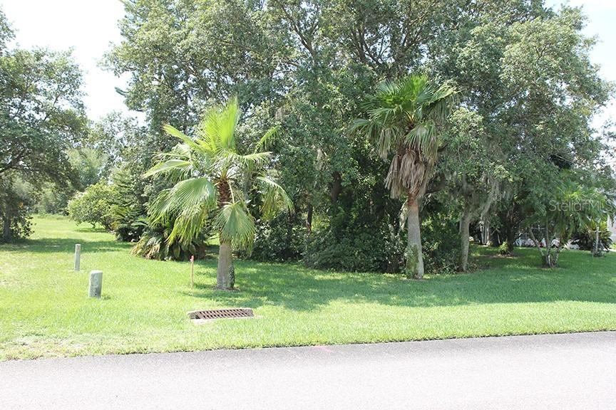 Lupine Pass, Lake Wales, FL 33898