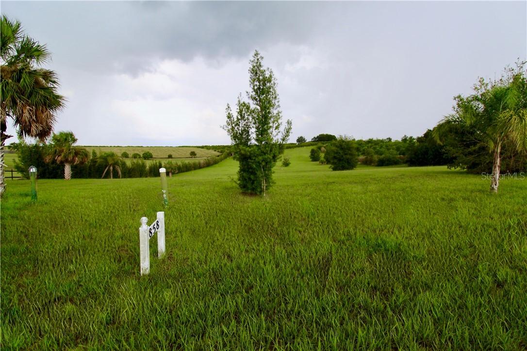 858 S Lake Starr Blvd., Lake Wales, FL 33898