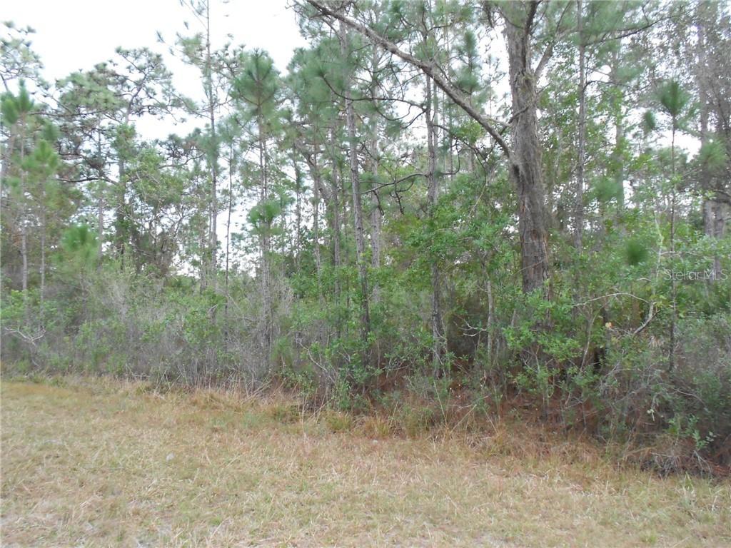 405 Camellia Dr., Indian Lake Estates, FL 33855