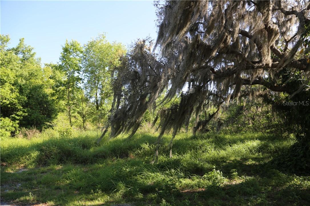 Lime St., Bartow, FL 33830