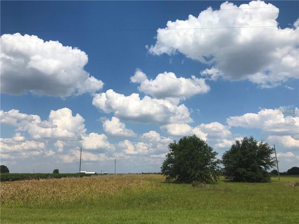 Walker Lake Rd., Bartow, FL 33830