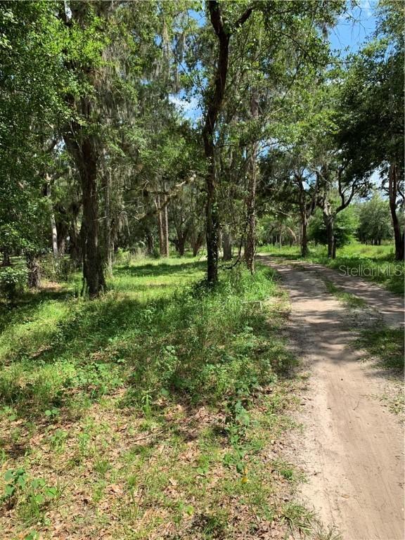 7045 State Road 64, Ona, FL 33865