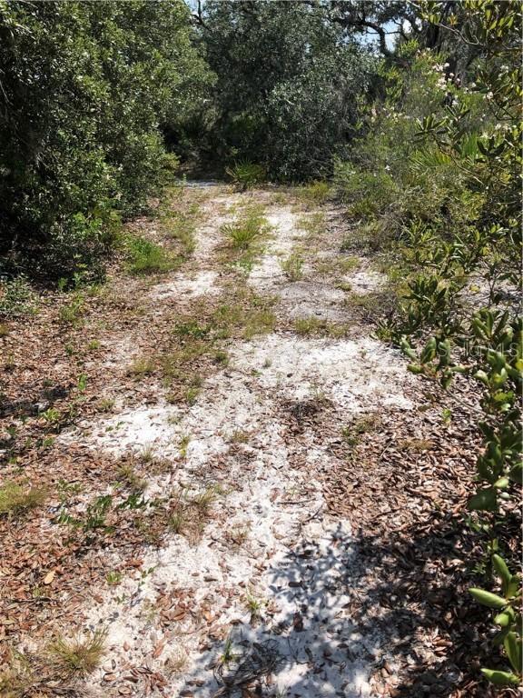 Crows Bluff Ave., Lake Wales, FL 33859