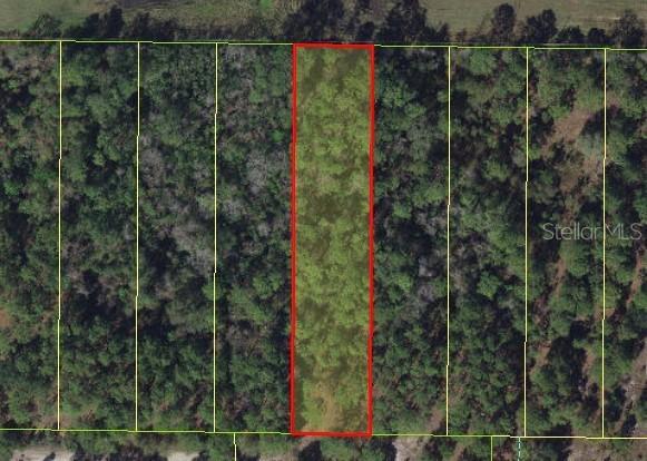 Osceola Polk Line Rd., Davenport, FL 33896